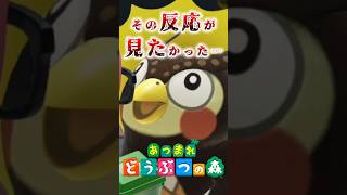 フータくんの、その反応が見たいんだよ…『あつまれどうぶつの森』