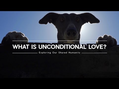 My Dog Taught Me This: The Ultimate Lesson in Love