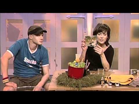 Virginia Jetzt! - Ein ganzer Sommer bei Kuttner