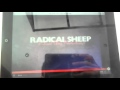 Radical Sheep Productions YTV 1996