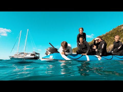 True Blue Sailing