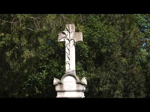 Comuna Măceșu de Jos