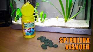 Spirulina voertabletten vissen voeren