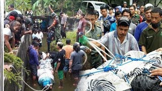 Video Evakuasi Buaya yang Memangsa Deasy Tuwo di Ranowangko, Ini Penampakannya