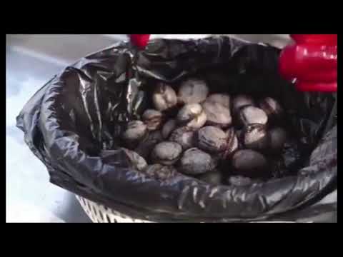 X006 Red PVC best working gloves safety gloves