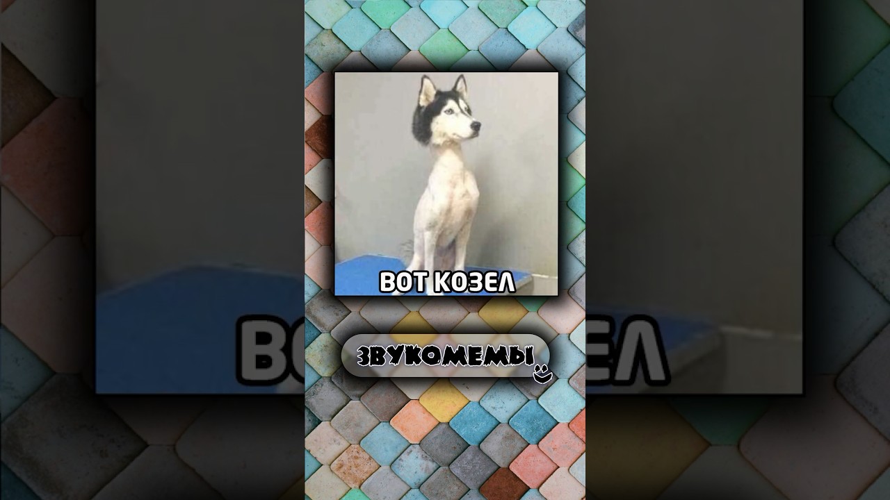 Прикольные мемы с озвучкой. #юмор #мемы