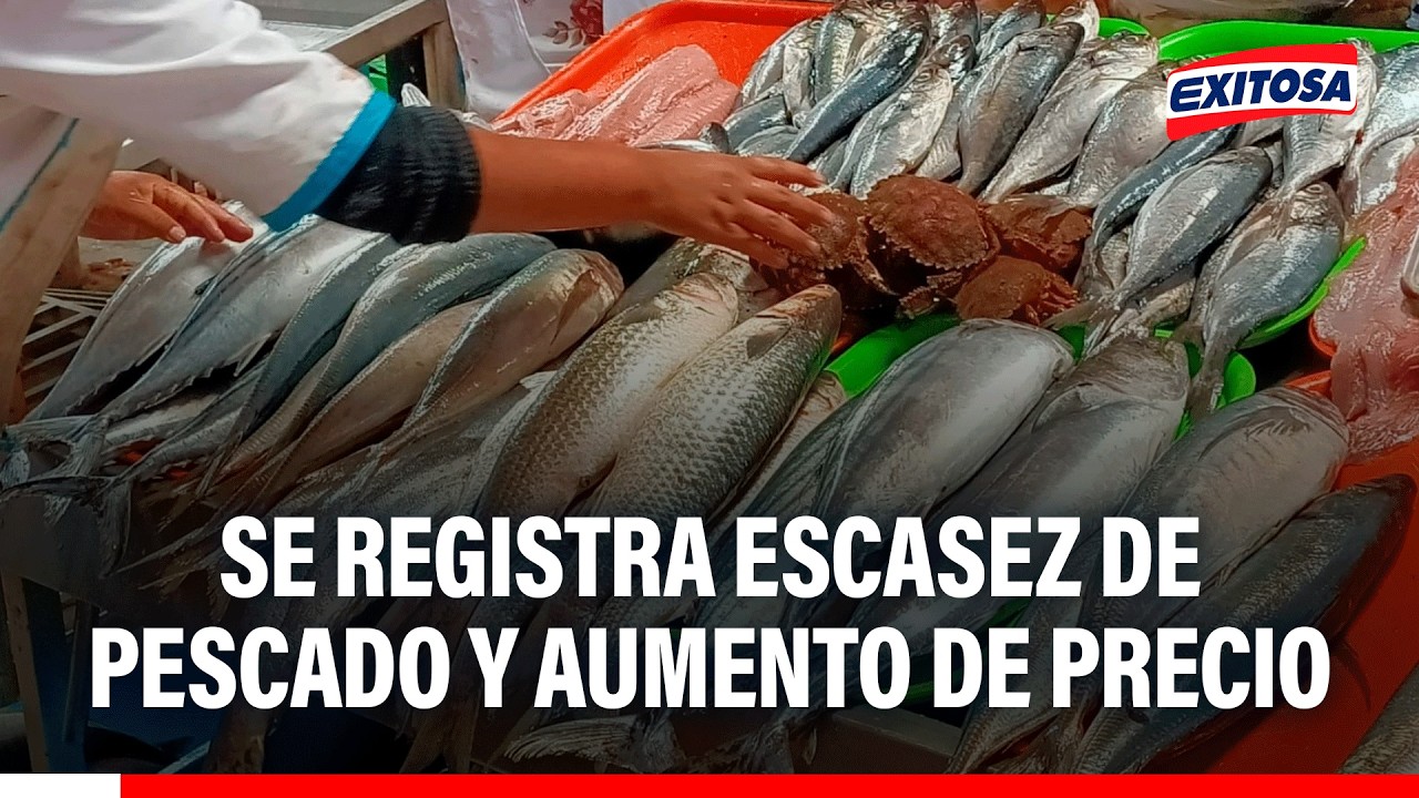 🔴🔵 Tumbes: Se registra escasez de pescado y aumento de precio ante llegada del Niño Costero