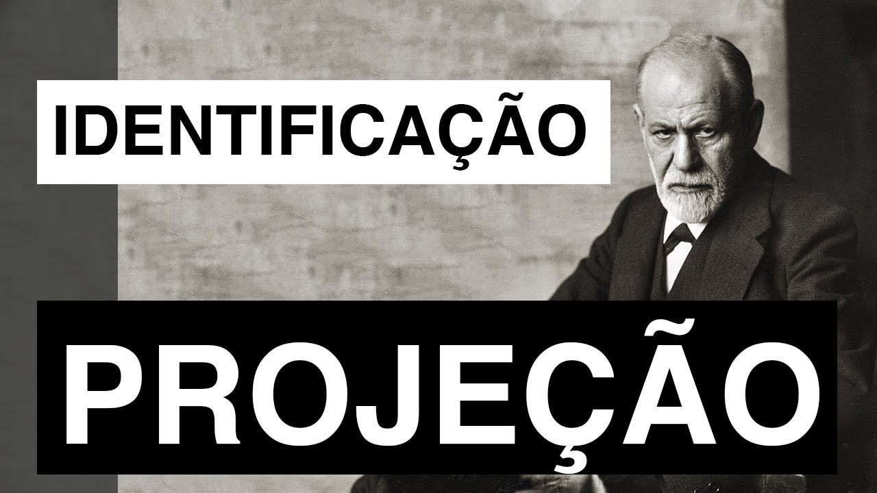 O que é projeção e identificação projetiva? | Christian Dunker | Falando nIsso 219