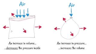 Inhaling and Exhaling - How breathing works