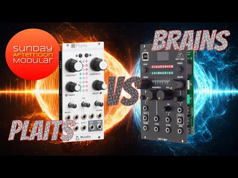 BEHRINGER BRAINS vs MUTABLE INSTRUMENTS PLAITS - huge sound comparison
