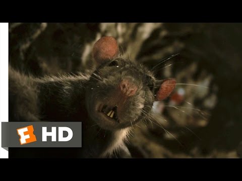 Charlotte's Web (4/10) Movie CLIP - The Yolks On Me (2006) HD