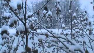 Earth Song-James Asher