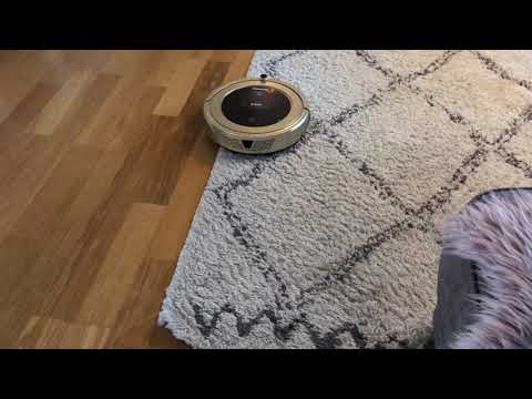 Cleanmate S900 prövar dammsuga en tjockare matta.