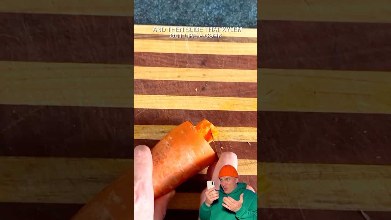 Carrot Disassembly Hack