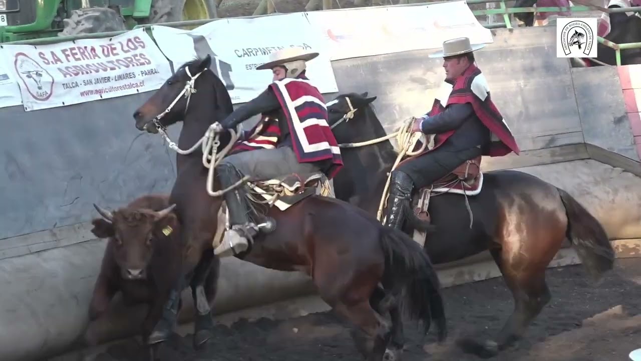 Serie Potros rodeo Asociación Talca 12-13 de octubre 2024