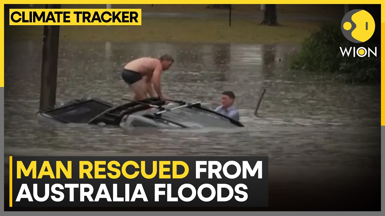 Australia: Man Rescued From Car Swallowed By Floodwaters | WION News