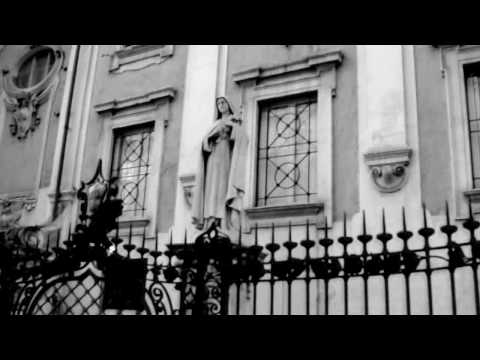 Elastic - TIMING ALPHA