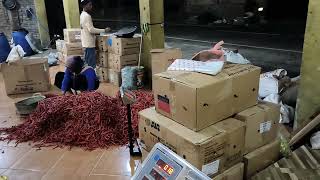 Download lagu Price of chili and vegetables on March 13, 2026, in Magelang Regency, Central Java #millennialfar... mp3