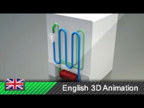 How a Fridge Works! (Vapor-Compression Refrigeration)