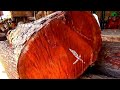 Pantas Saja Disebut Master Tak Seujung Kuku Pun Tersentuh Racun Kerugian Dari Kayu Ini