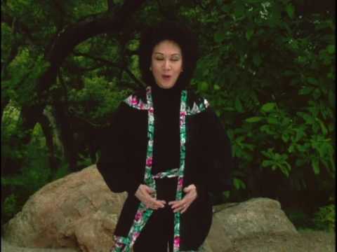 Nancy Zi Breathing Expert - The Art Of Breathing DVD