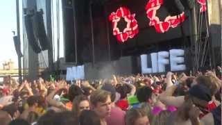 Dada Life @ Electric Zoo 2012 - The Bloody Beetroots - Rocksteady﻿ (Gigi Barocco Remix) - HD