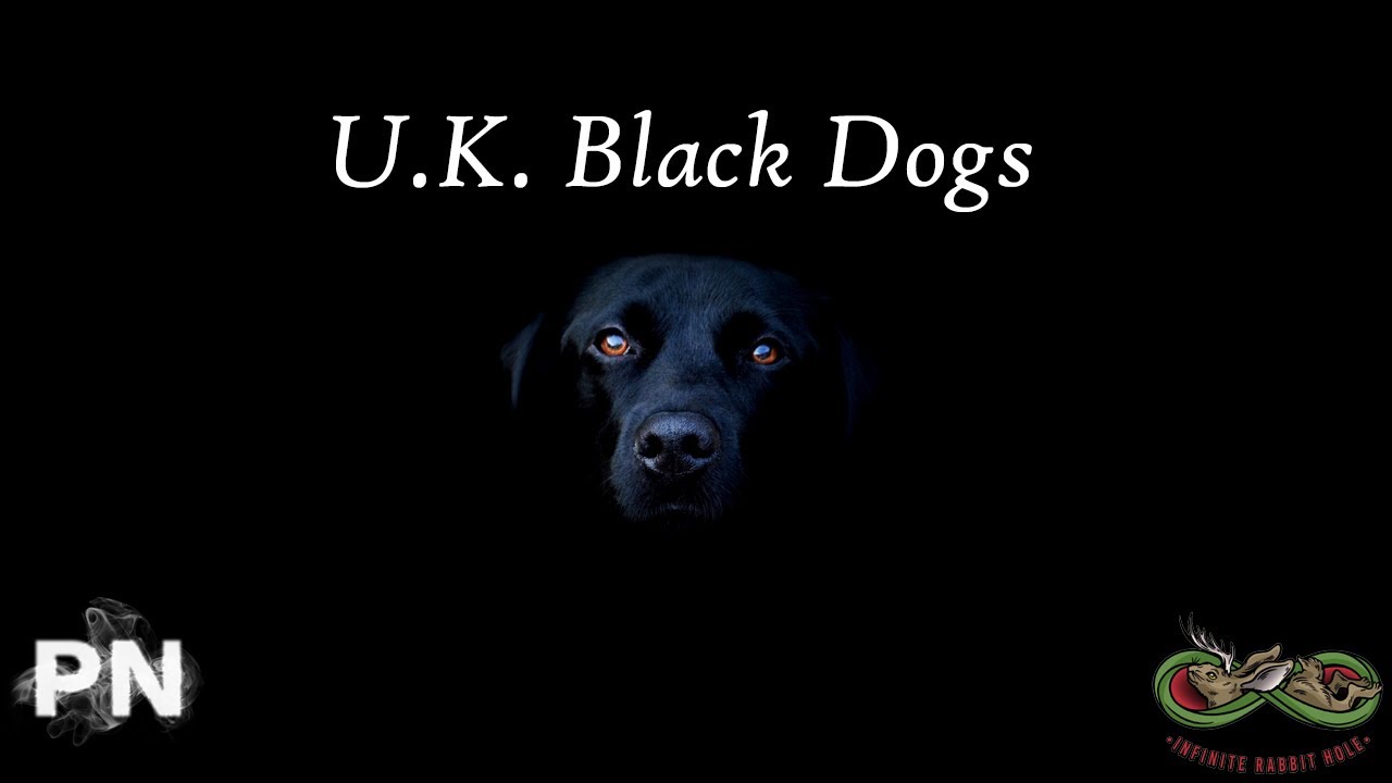 Black Shuck and other British Black Dogs w/ Adam of the TFTAK Podcast Black Shuck and other British Black Dogs w/ Adam of the TFTAK Podcast