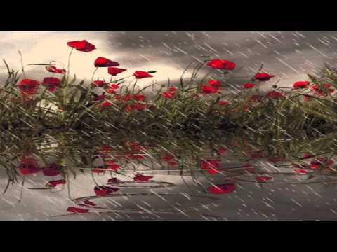 KLS - Kuv Tseem Xav Nrog Koj