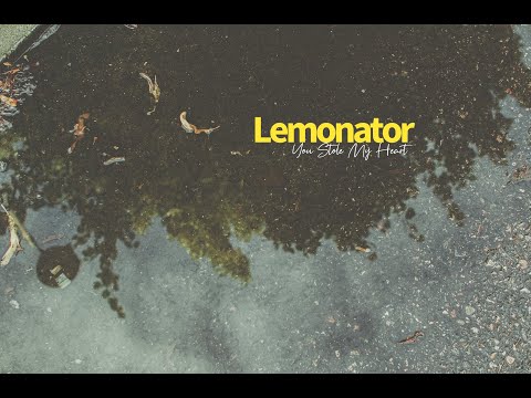 Lemonator - You Stole My Heart (Acoustic cover)