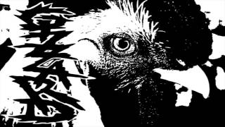 GNARWAIL/GIZZARD SPLIT SIDE 2