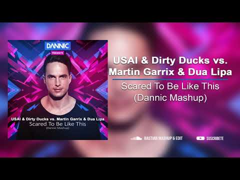 USAI & Dirty Ducks vs Martin Garrix & Dua Lipa - Scared To Be Like This (Dannic Mashup)