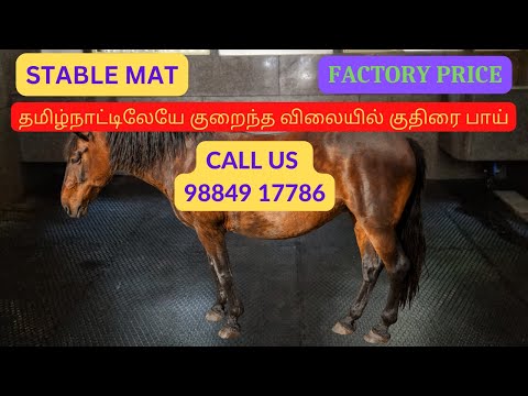 Rubber Stable Mat at the Lowest Price in Chennai