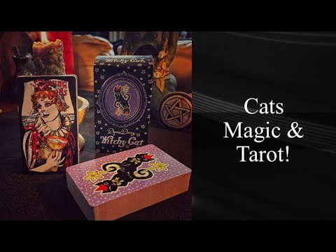 Witchy Cat Tarot 🐈‍⬛ | Dame Darcy’s Magical, Feline Reimagining of the RWS