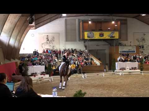 CVI Bern 2015 - Marina Mohar SUI (CVI3*)