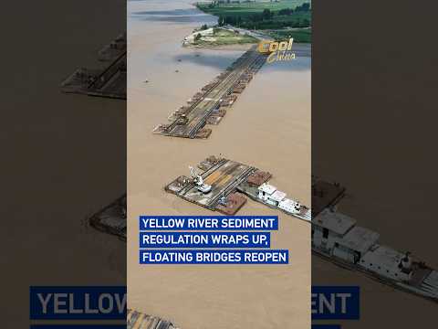 Yellow River sediment regulation wraps up, floating bridges reopen#cool cool