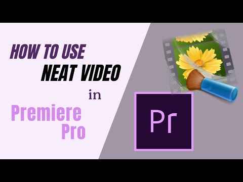 How to use Neat Video in Premiere Pro. Quick Start Guide