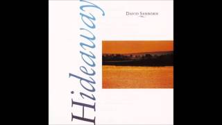 David Sanborn - Lisa