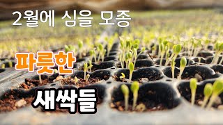 2월에 심을 모종이 파릇파릇! 라이브 스트리밍 중