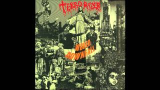 Terrorizer - Storm of Stress