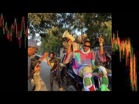 Nay Wa Mitego Ft Dora Boy -Amkeni (un Official Music Video Visualizer by Cool boy)