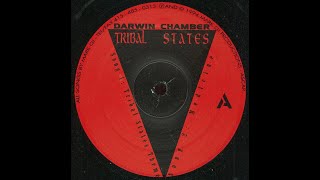 Darwin Chamber - Tribal States Theme (Techno 1994)