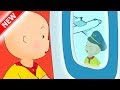 NEW ‍ ️ CAILLOU TAKES A PLANE ️ Funny Animated Videos For Kids Caillou Videos For Kids