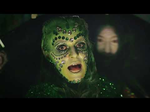 Lone Taxidermist Knicker Elastic