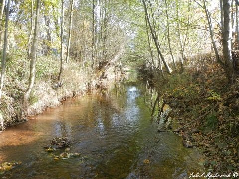 Vestřev u Hostinného (24.10. 2015)