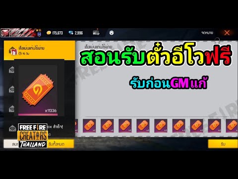 ฟีฟายฟรี
