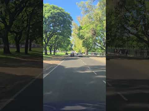 Colectora de Gral Paz (Parque Sarmiento) ~ 16 de diciembre de 2025