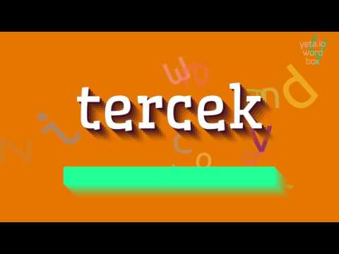 How to say "tercek"! (High Quality Voices)
