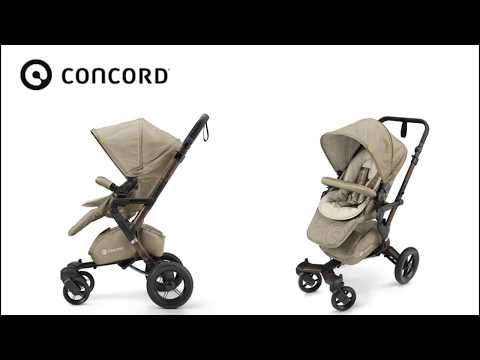download lagu mp3 mp4 Concord Jane, download lagu Concord Jane gratis, unduh video klip Concord Jane