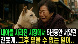 Download lagu 내 아들 사라진 시장에서 5년동안 서있는 진돗개, 그후 믿을 수 없는 일이 일어나는데 mp3