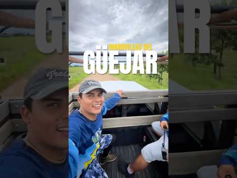 MARAVILLAS DEL GUEJAR EN LEJANÍAS META COLOMBIA